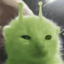 sleppyboi