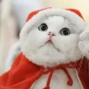 ivana_almonacid