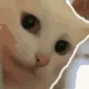 _greyx_
