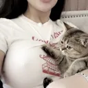 wtf_ssebxzz