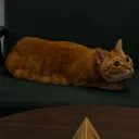 cjayl