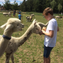 Willem