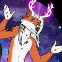 nikifox
