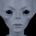 mlsptn