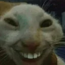 chinito5893