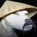 zeebz.t3n