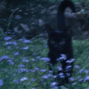 fuentemusic's Avatar