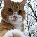 avatar evvvvvvvvvvvvz