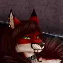 foxhogan_offical3960