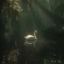_real_shadow_monarch_