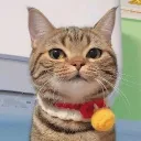 siberian_murzik