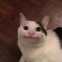 kiki_811