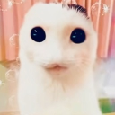 avatar ᗰᗩᖇᒪᗩ🦇