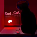 sadcat3