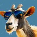 thegoat.t