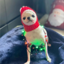 avatar ⚝⭑ 𝐔𝐲𝐥𝐢𝐧𝐤𝐚⭑⚝