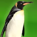HOW DO I INSTALL NVIDIA DRIVERS
