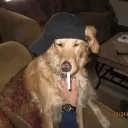 gtqr