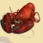 lobstershack
