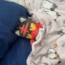 hanasmeme