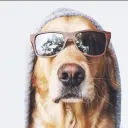 Аватар kotymba6238