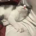 kyyogzlz