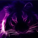 eleyef