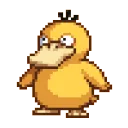 cannary