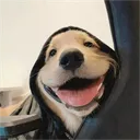 alexis_7596