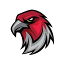 atlanta.falcons.germany