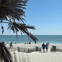 avatar IT/ E-2 BRACEY, AMAYA