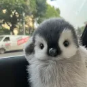 vcrxzyz