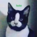 rvc_hyder
