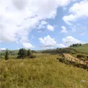 takeraihiggs