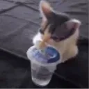 meomnisama