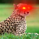 erictrade