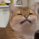 eblouissanttte.