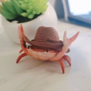 avatar 𝓓𝓮𝓶𝓪𝓻𝓬𝓾𝓼