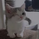 chuppa2