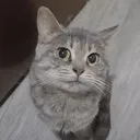utuwuy