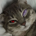 AlexIlPro_