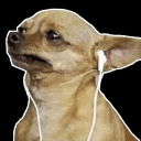 avatar 𝕃𝕒𝕦𝕘𝕙𝕗𝕚𝕥𝕪