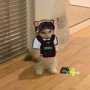 meameaw#5386's avatar