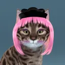 punkcats