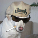 avatar 𝓧𝓸𝓽𝓲𝓬