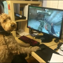 avatar 𝓧𝓸𝓽𝓲𝓬