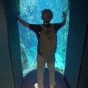 itsdobbby