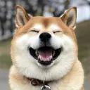 myntian