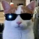 fushiatic avatar