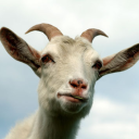 goatbamf